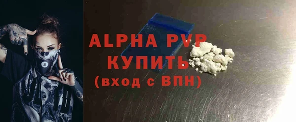 прущие грибы Ельня