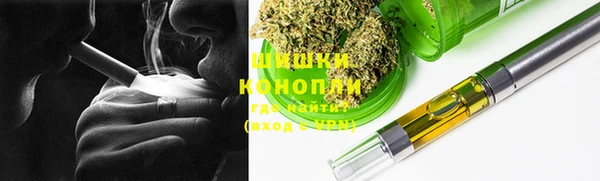 прущие грибы Ельня