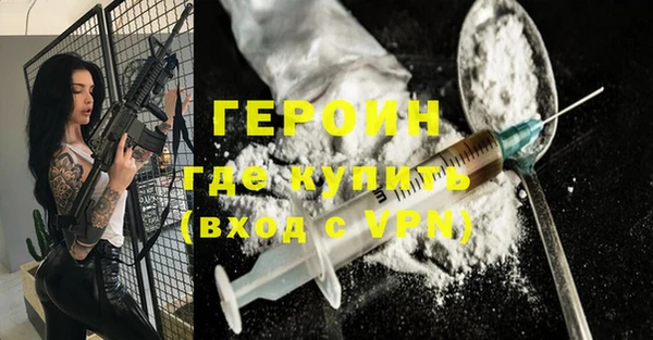прущие грибы Ельня