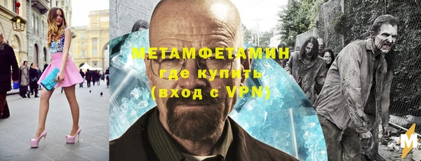 прущие грибы Ельня