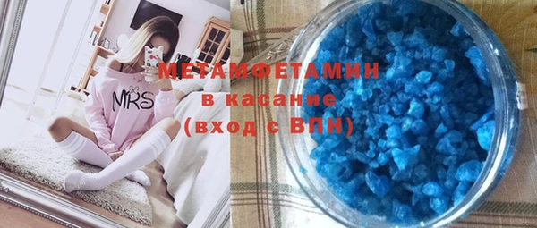 прущие грибы Ельня