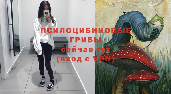 гашишное масло Заводоуковск