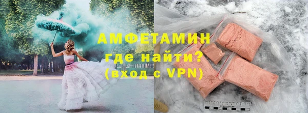 прущие грибы Ельня
