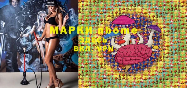 прущие грибы Ельня