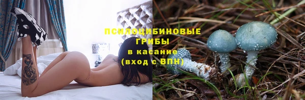 MDMA Елизово