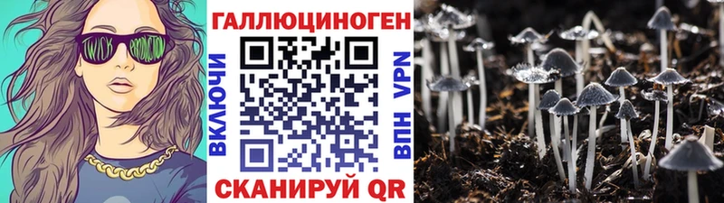 Псилоцибиновые грибы Psilocybine cubensis  ОМГ ОМГ рабочий сайт  Семилуки 