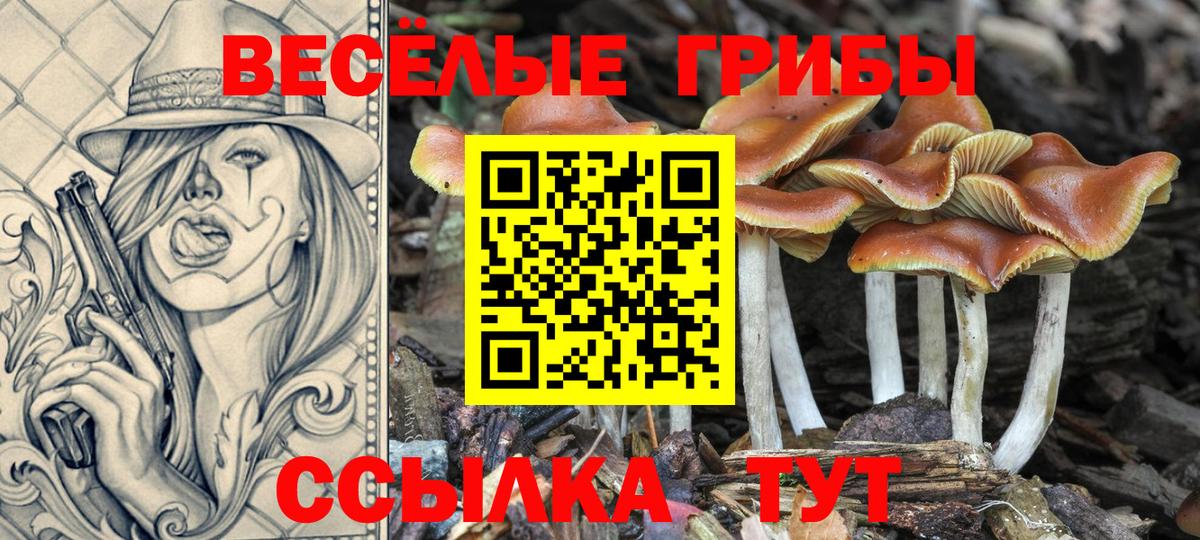Галлюциногенные грибы Magic Shrooms Семилуки