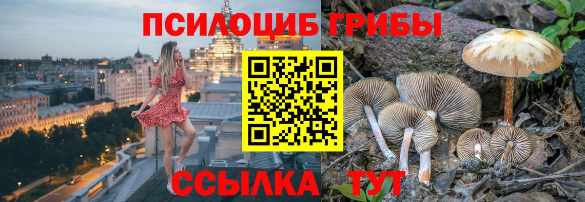 Семилуки  Галлюциногенные грибы MAGIC MUSHROOMS  Вход с VPN 